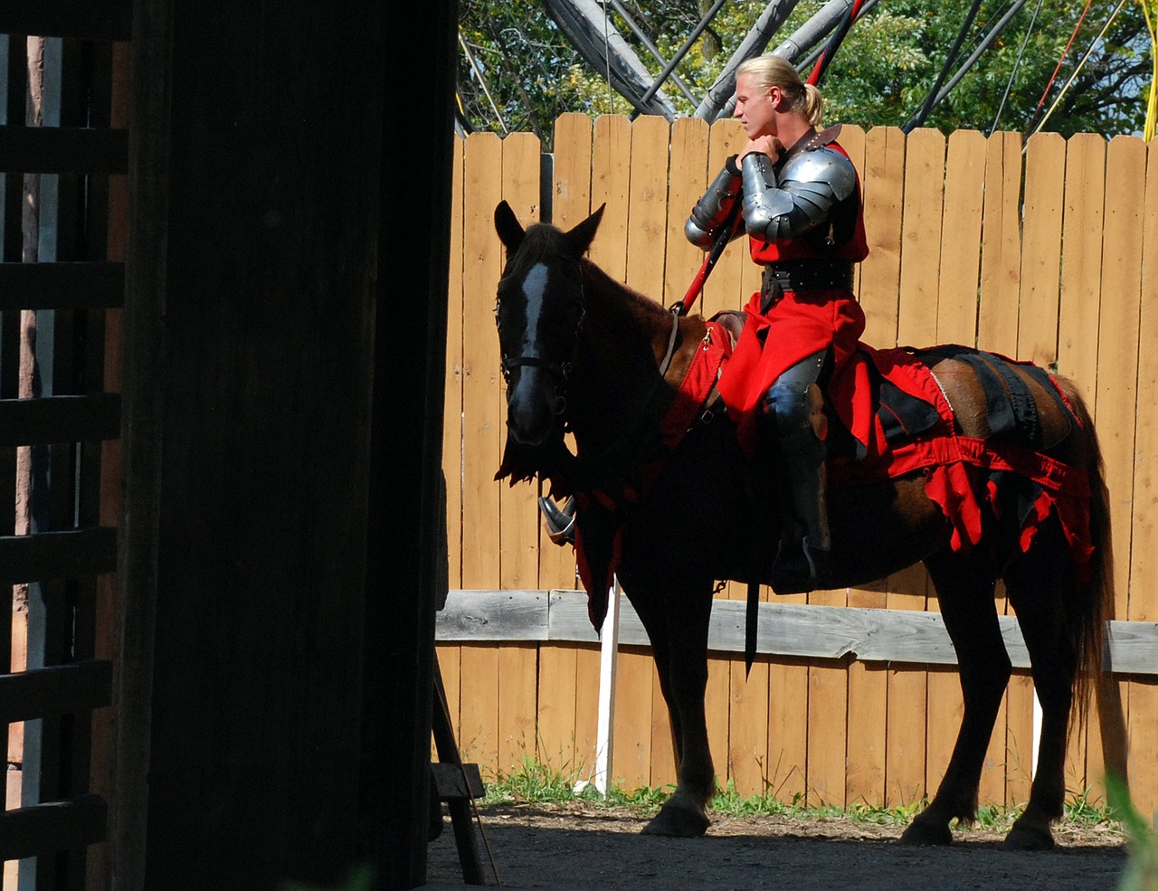 knight horse medieval free photo