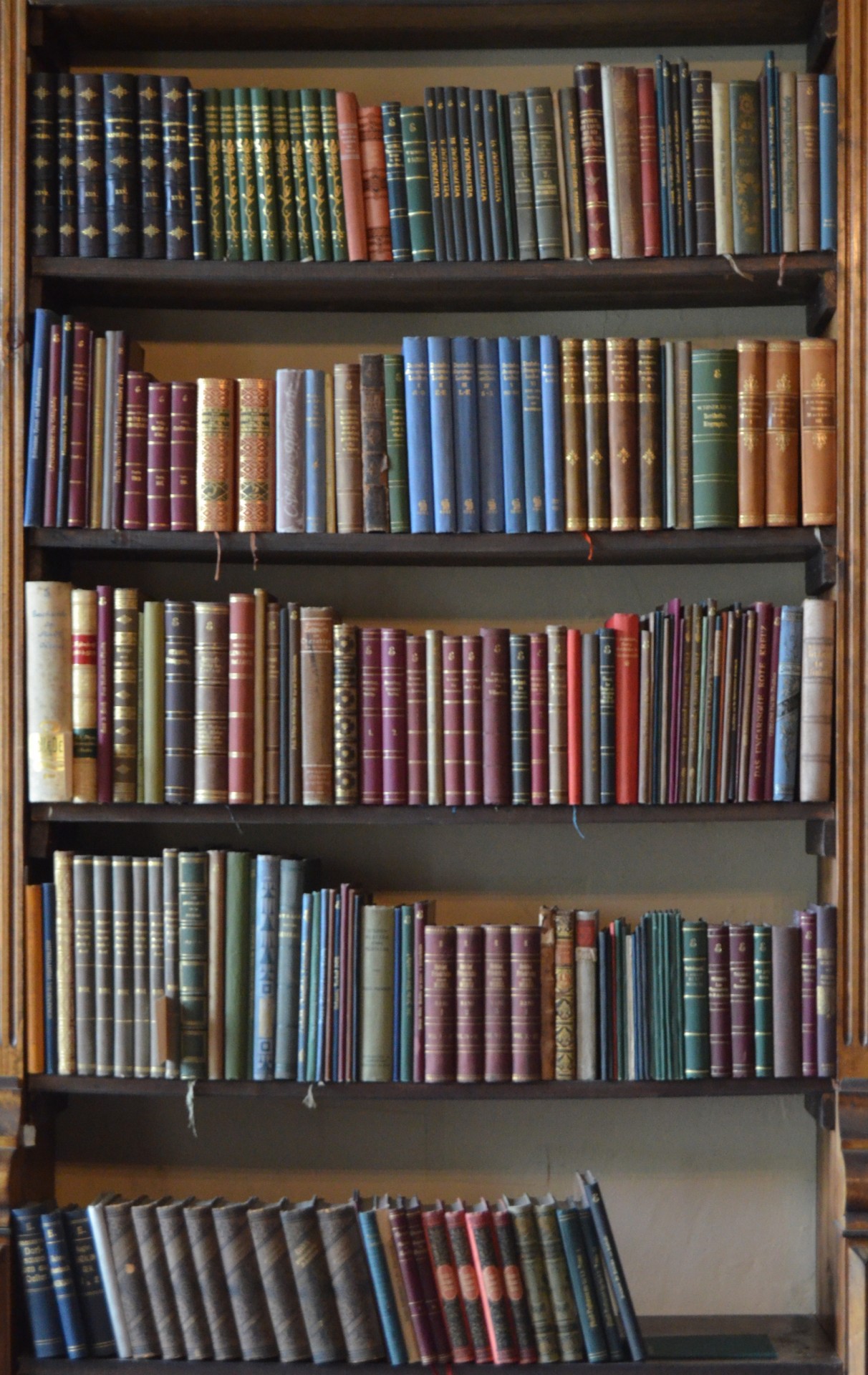 bookcase book shelves free photo