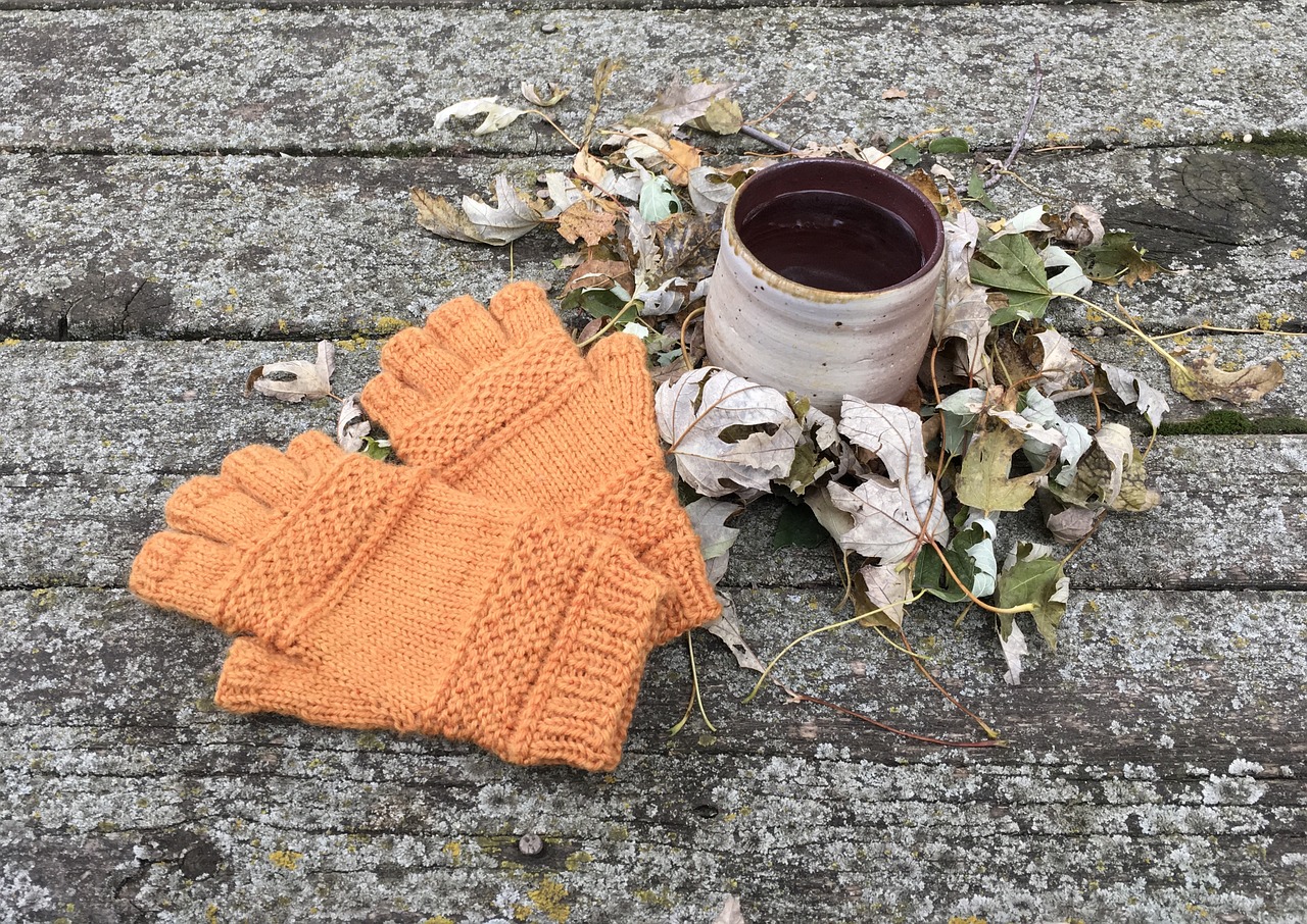 knit  mitts  autumn free photo