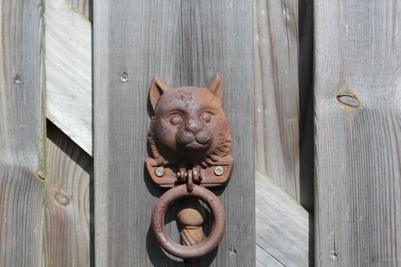 knock gate cat free photo