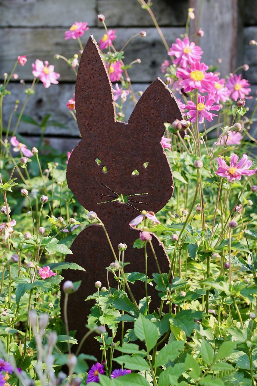 knoll flowers garden hare free photo