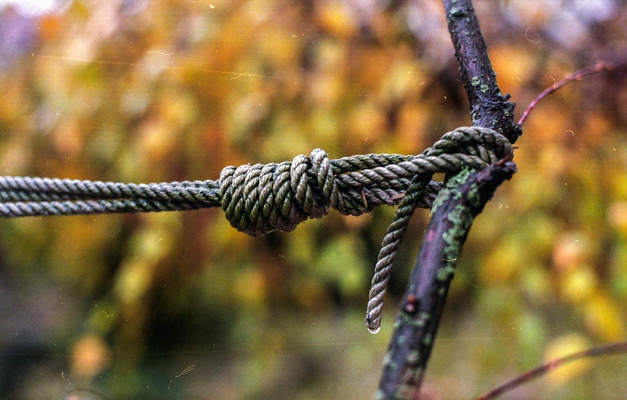 knot rope tied free photo