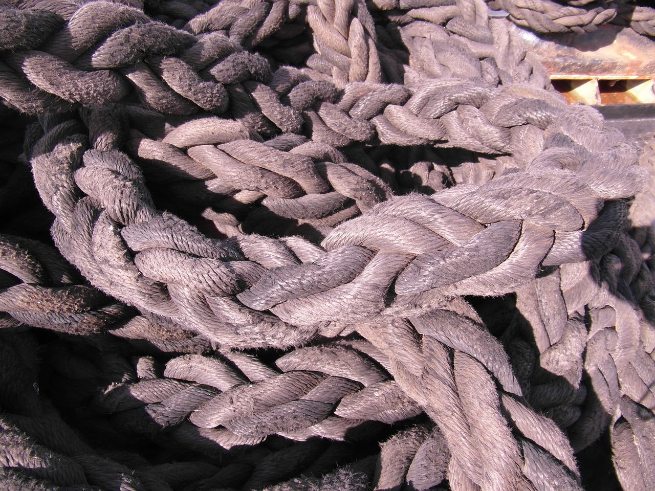 knot rope dew free photo