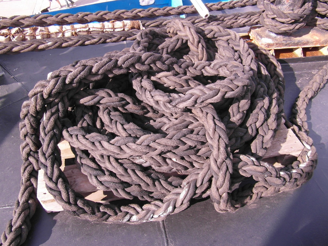 knot rope dew free photo