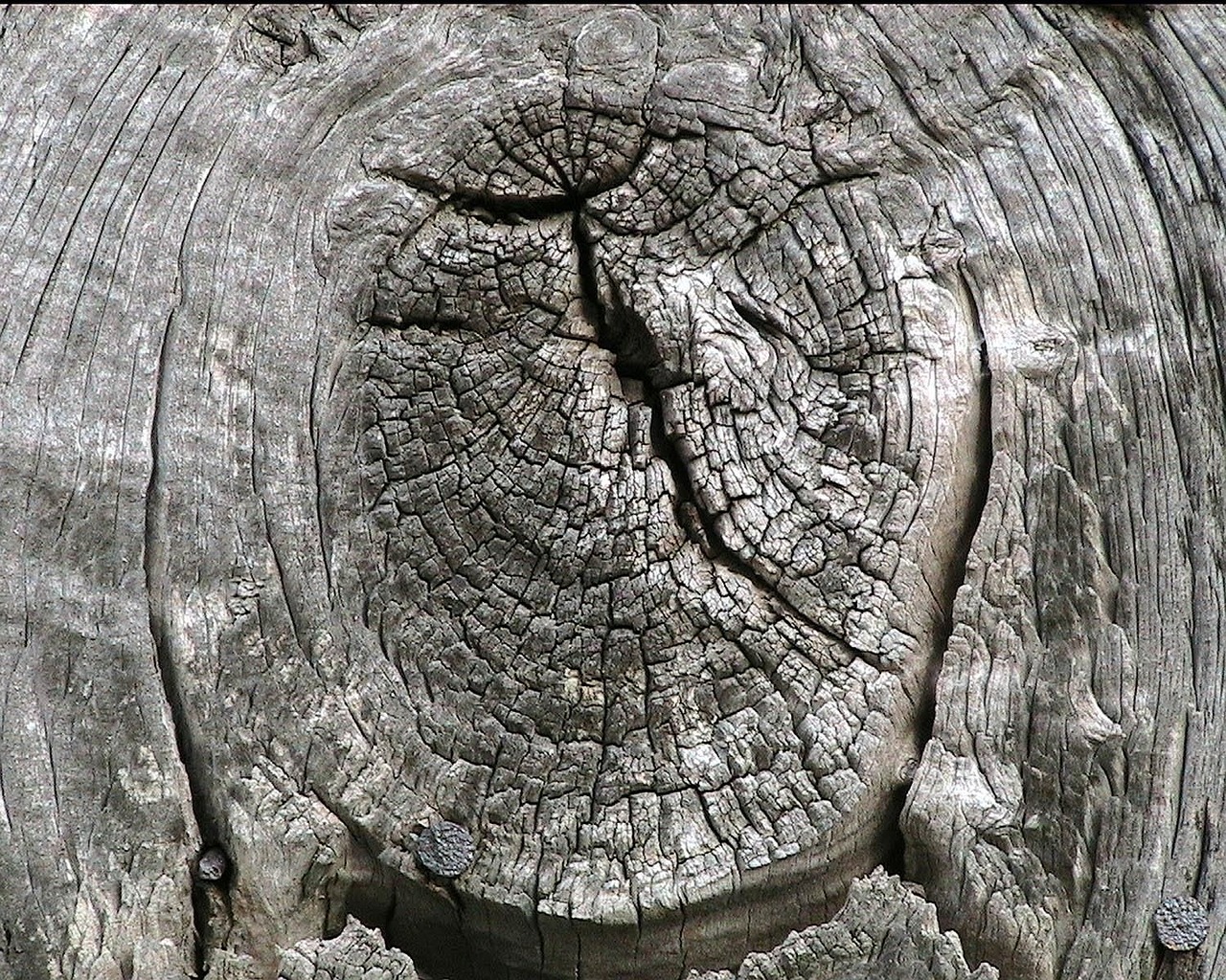 knot wood barn free photo