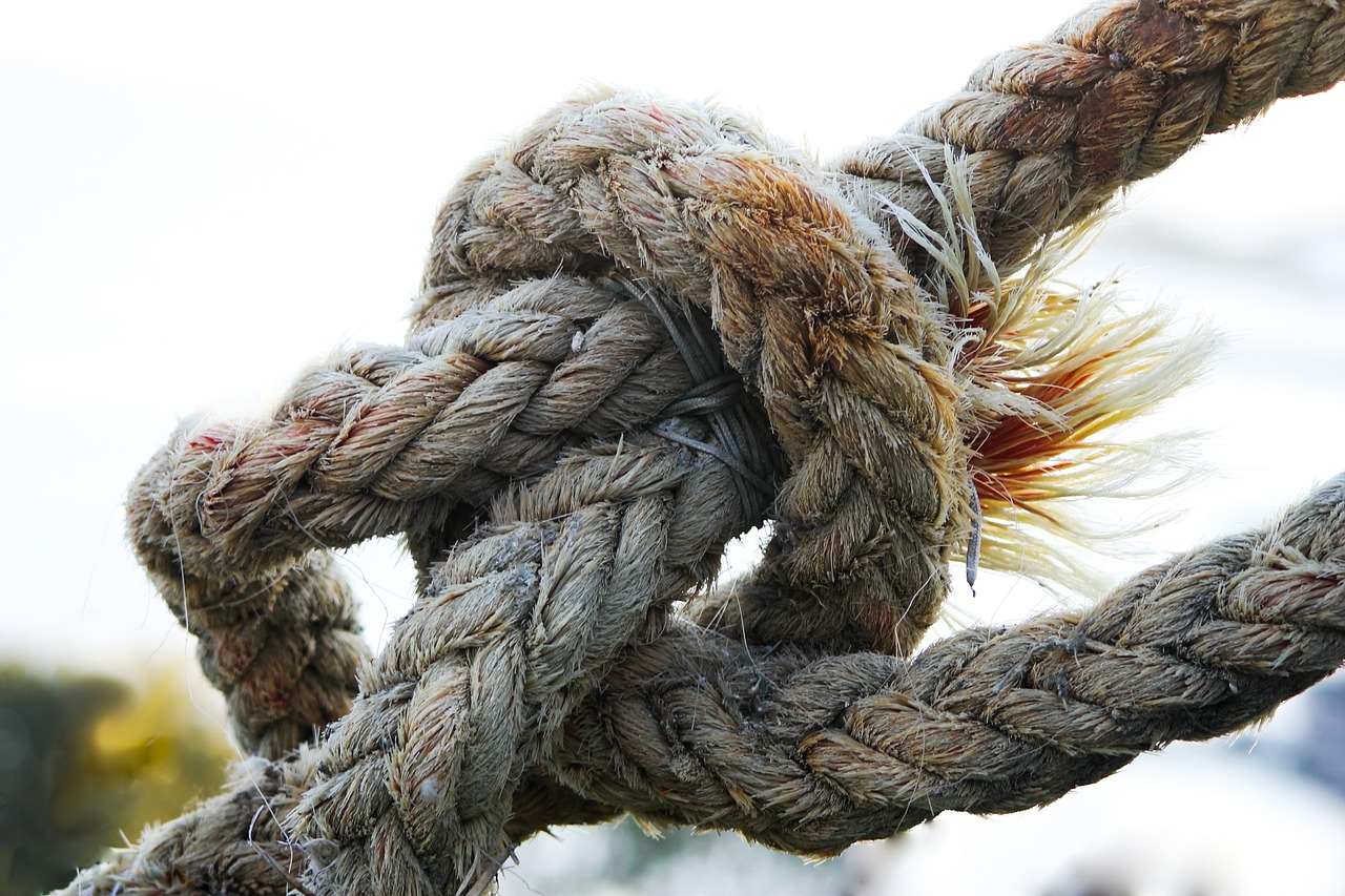 knot rope cordage free photo