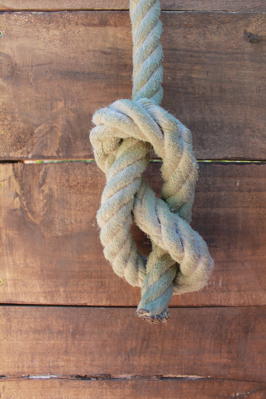 knot node 8 rope free photo