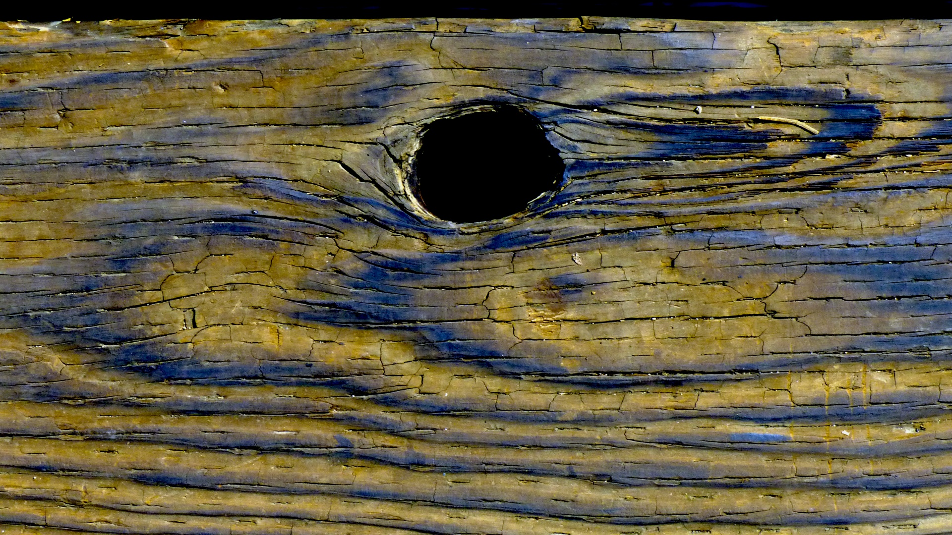 knothole plank yellow free photo