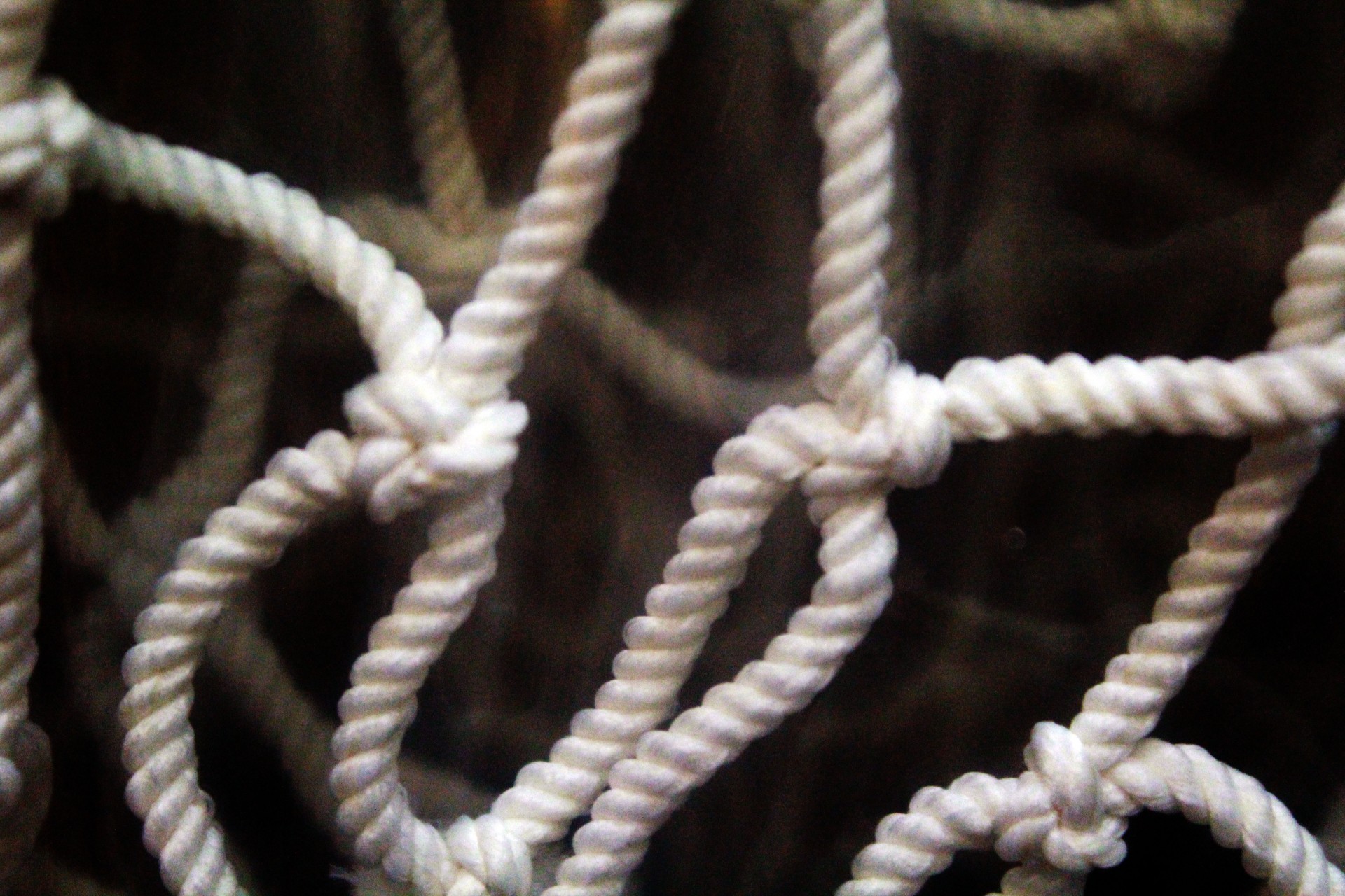 knots white knots tie free photo