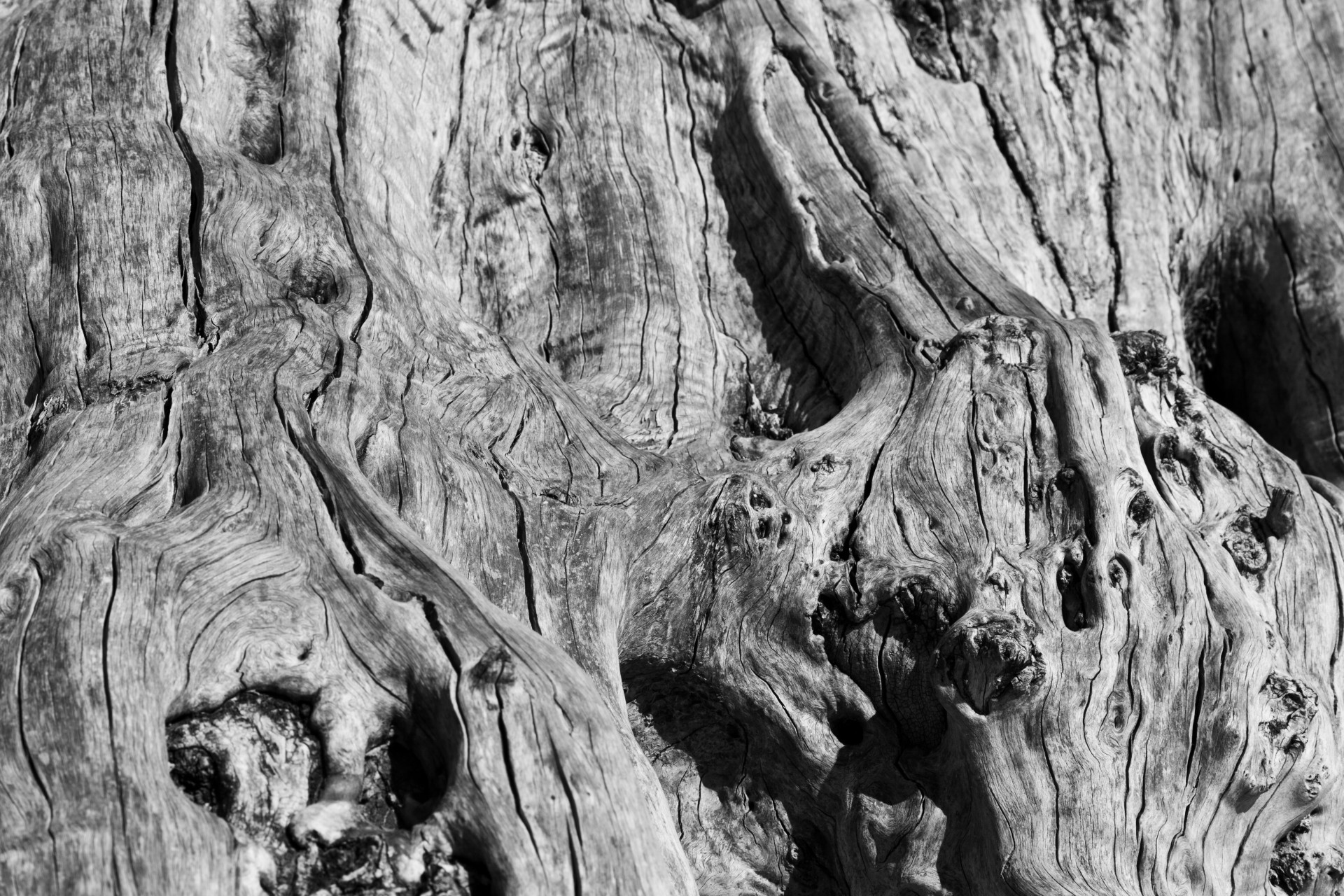 wood pattern texture free photo