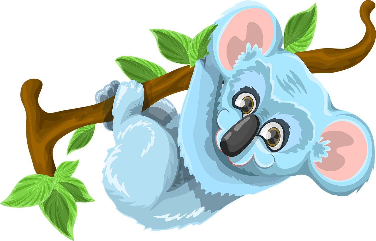 koala animal cute free photo