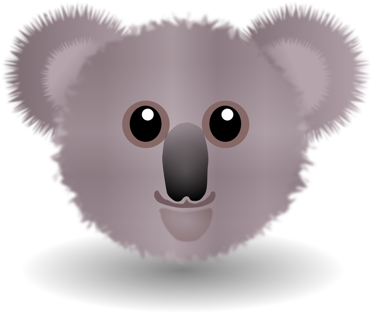 koala bear wombat free photo