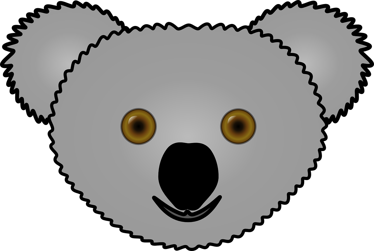 koala head face free photo