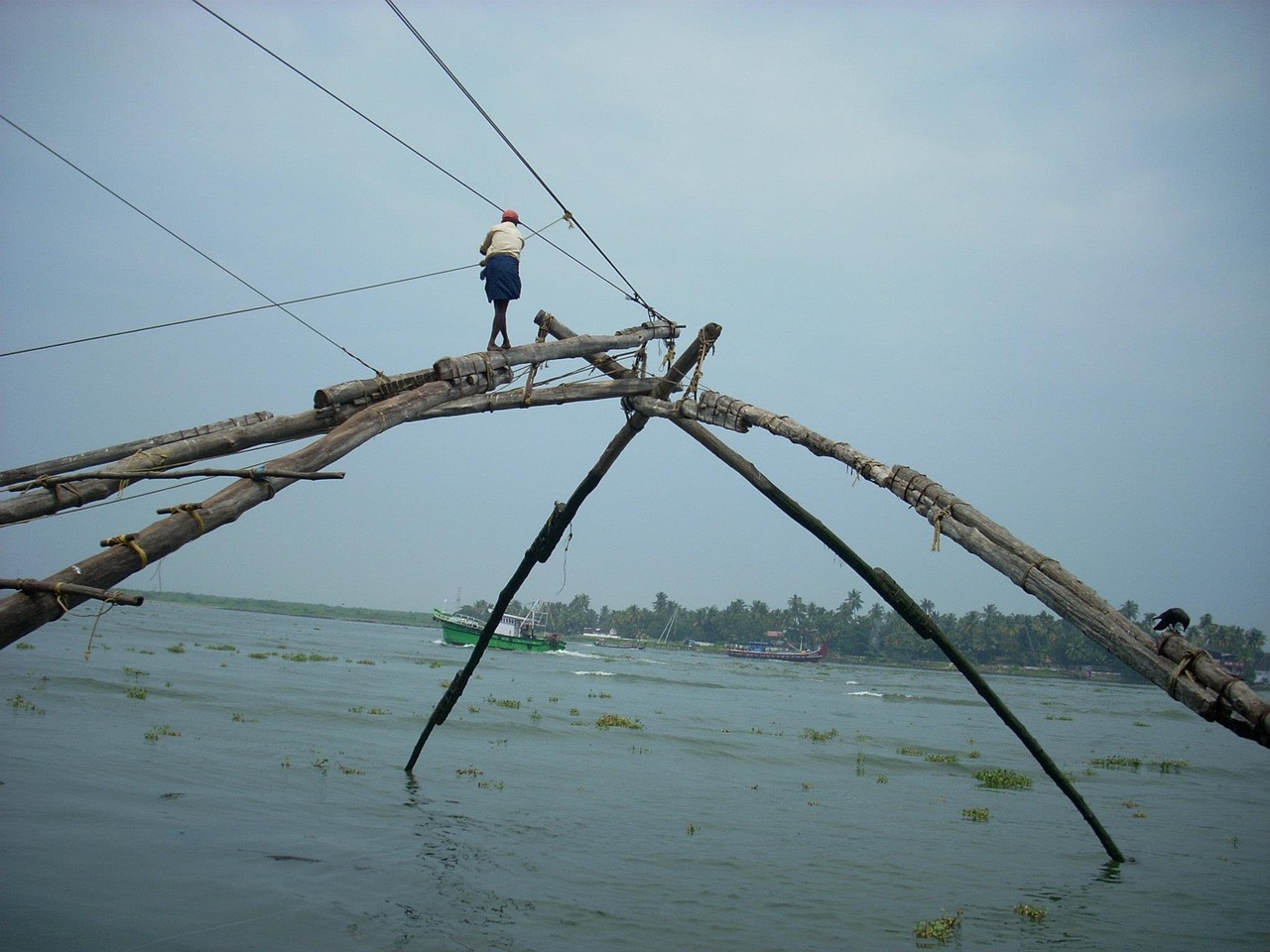 kochi fishing nets free photo