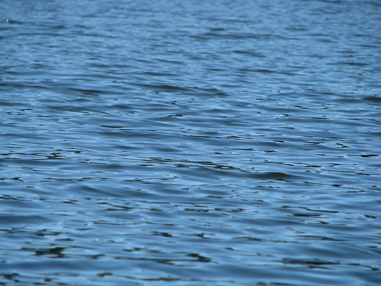 kodaikanal lake water free photo