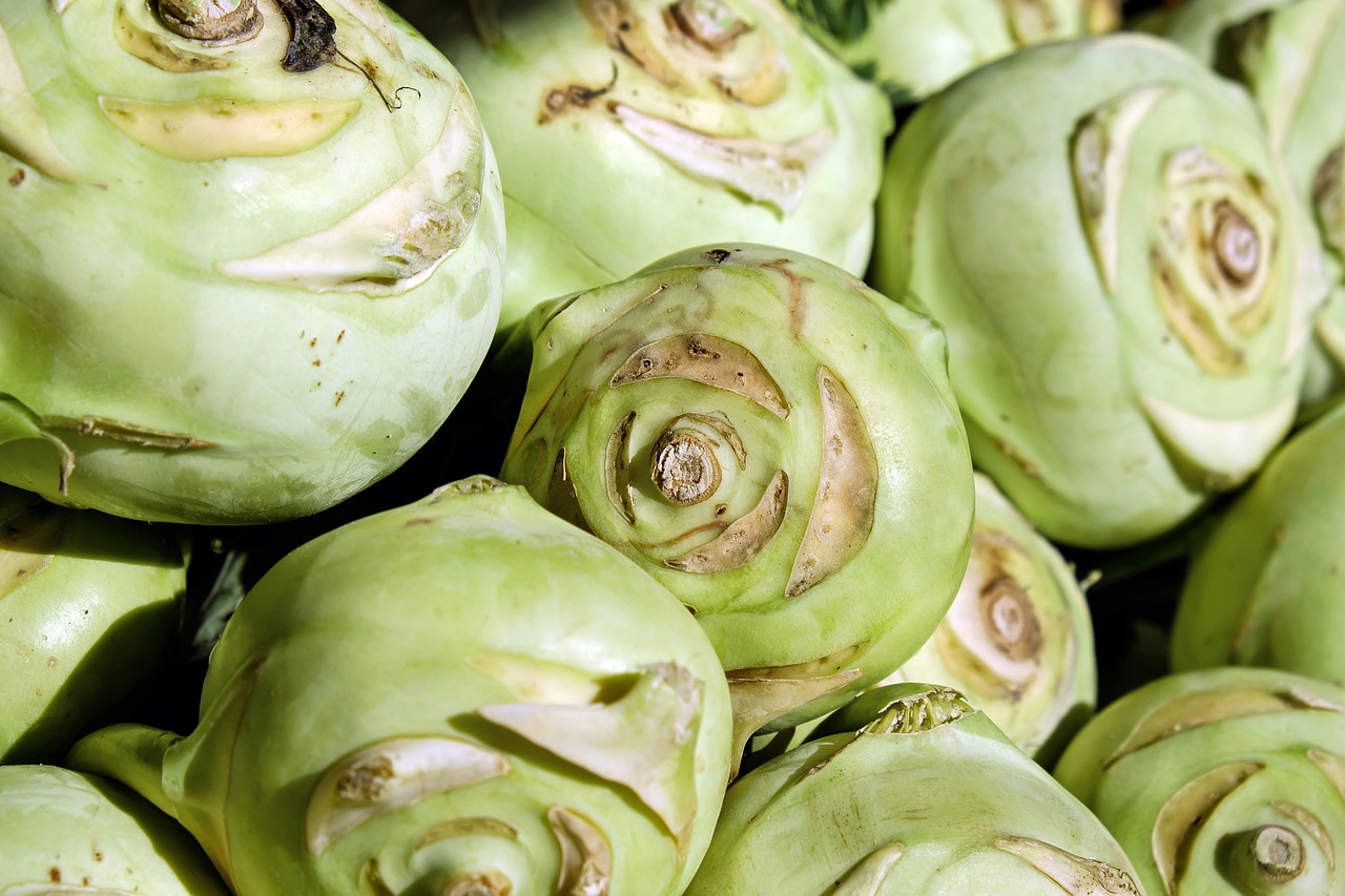 kohlrabi vegetables cabbage free photo