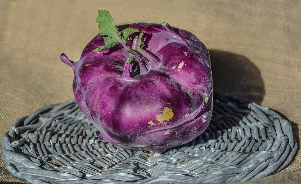 kohlrabi vegetable purple free photo