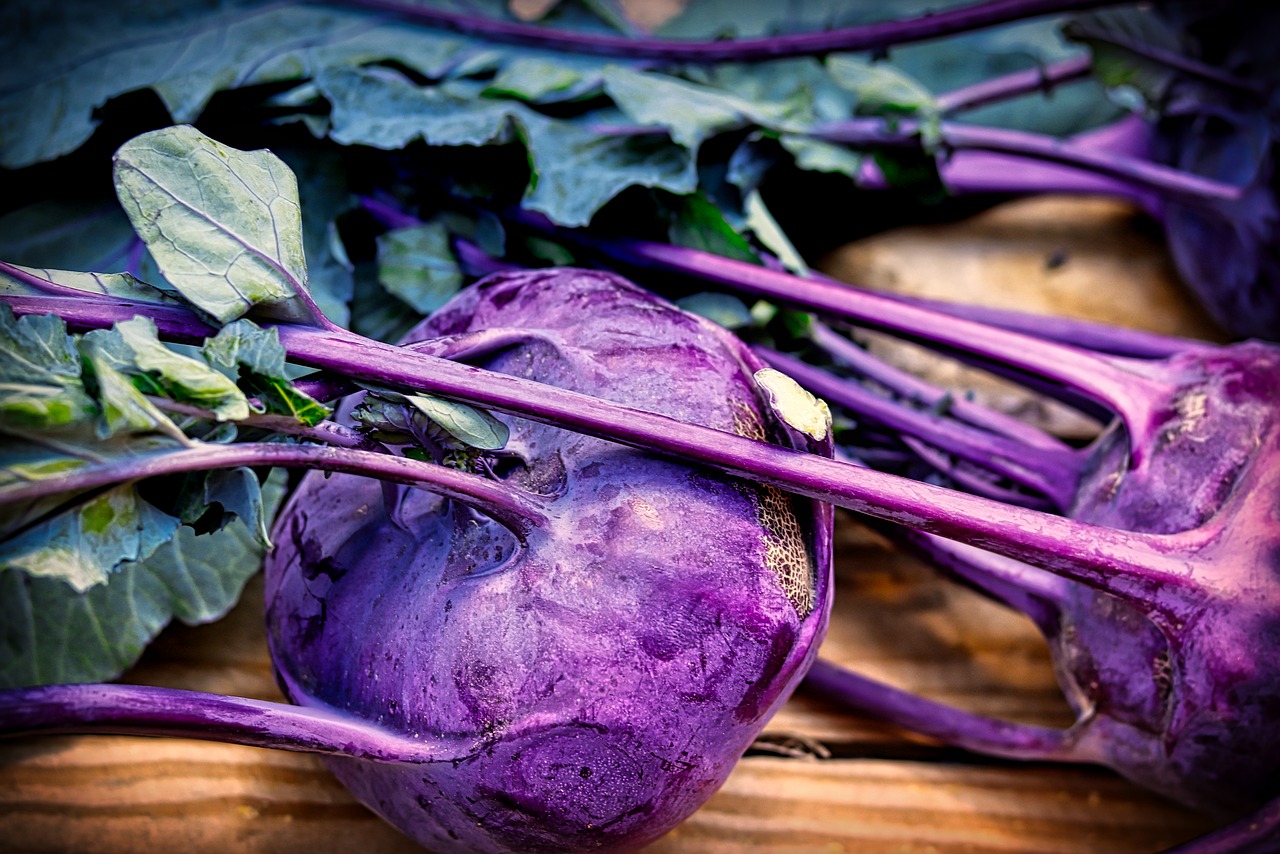 kohlrabi  leaves  vegetables free photo