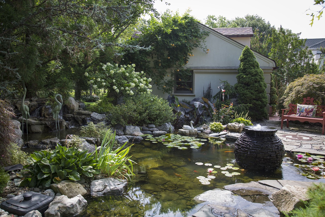 koi pond ponds water free photo