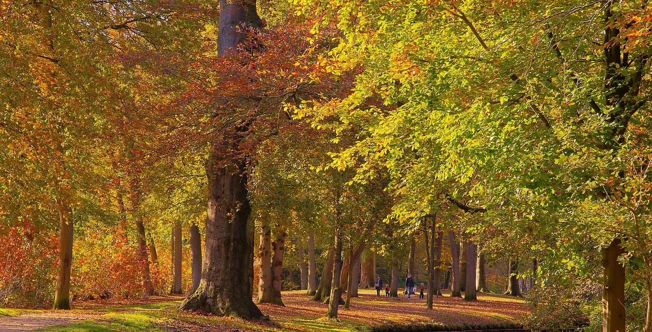 koniging emmapark  baarn  groenenveld free photo