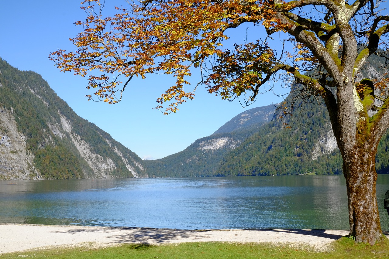 königssee  berchtesgaden  lake free photo