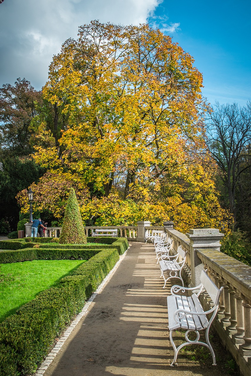 konopiště  castle  park free photo