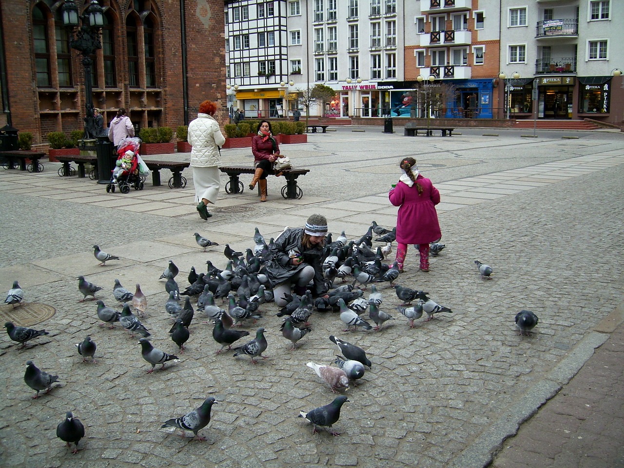 kołobrzeg the market the old town free photo