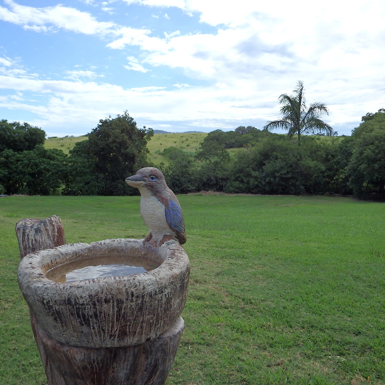 kookaburra ornamental bird bath free photo