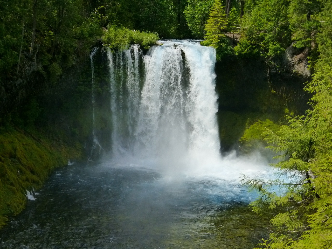 koosah falls waterfall cascade free photo