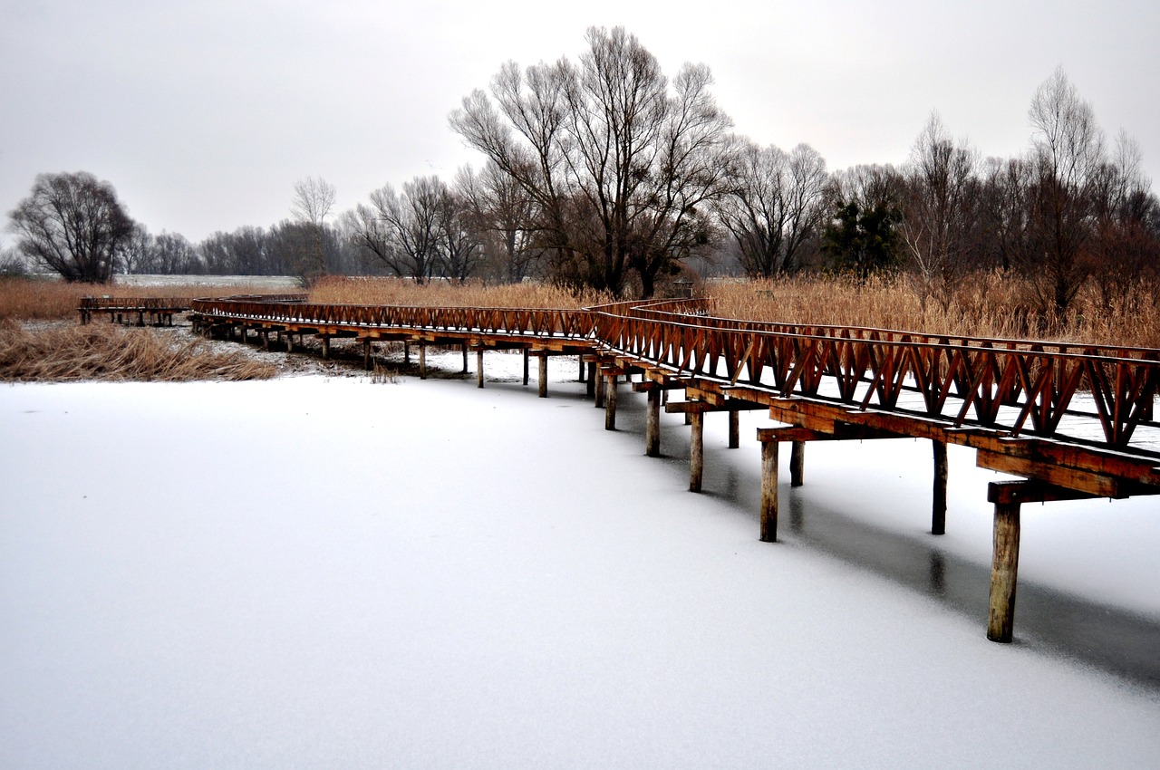 kopacki rit nature park promenade free photo