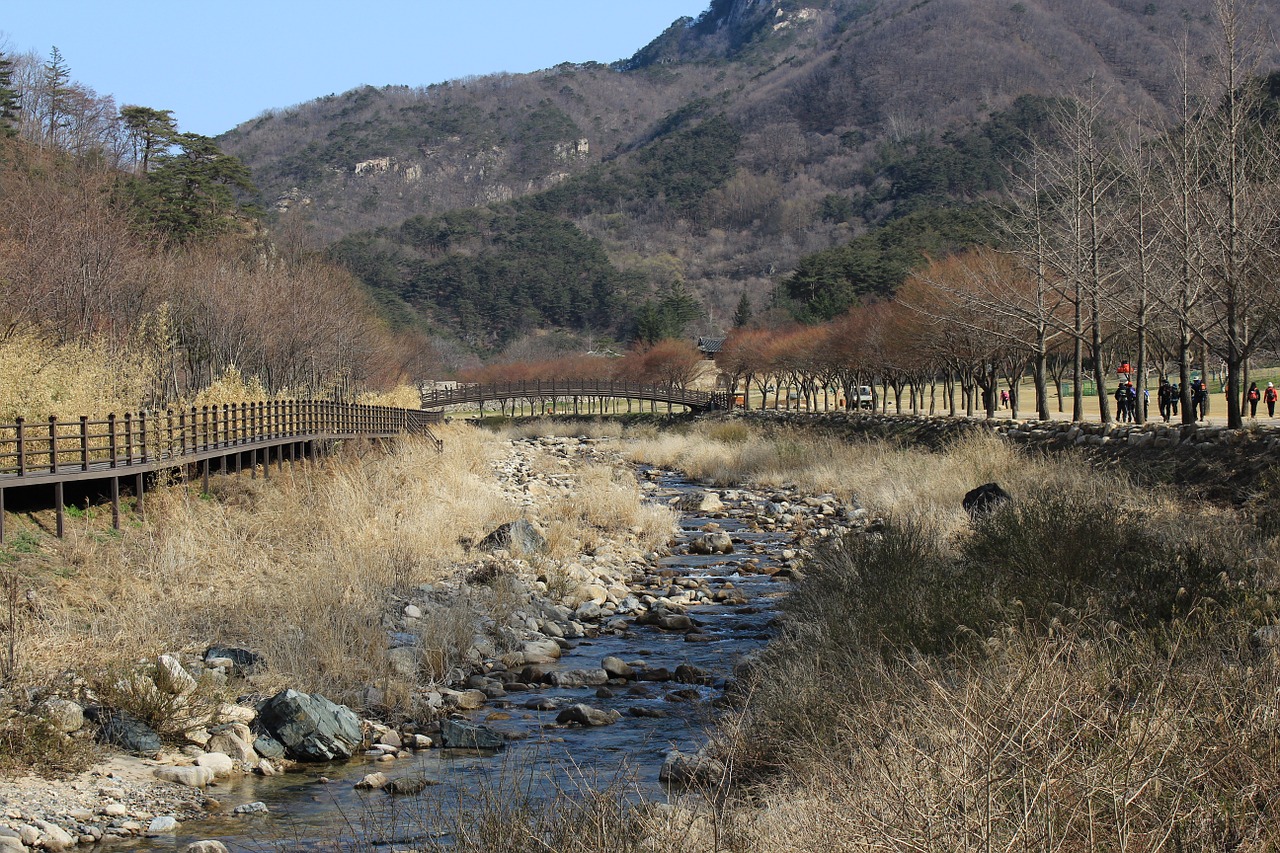 korea mountain tour-course free photo