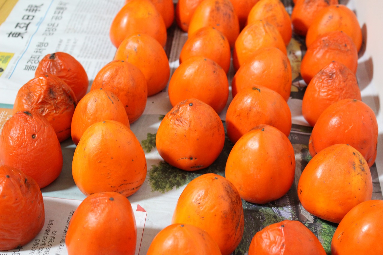 korea persimmon fruit free photo