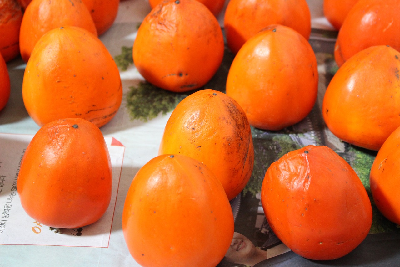 korea persimmon fruit free photo