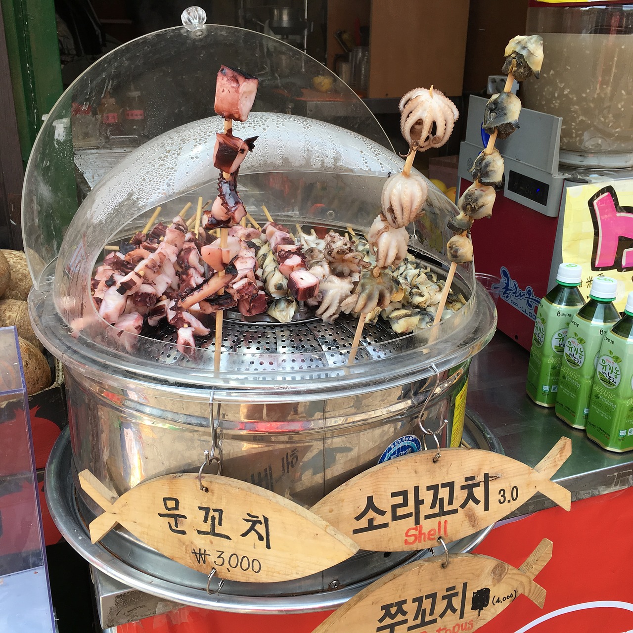 korea baby octopus street food free photo