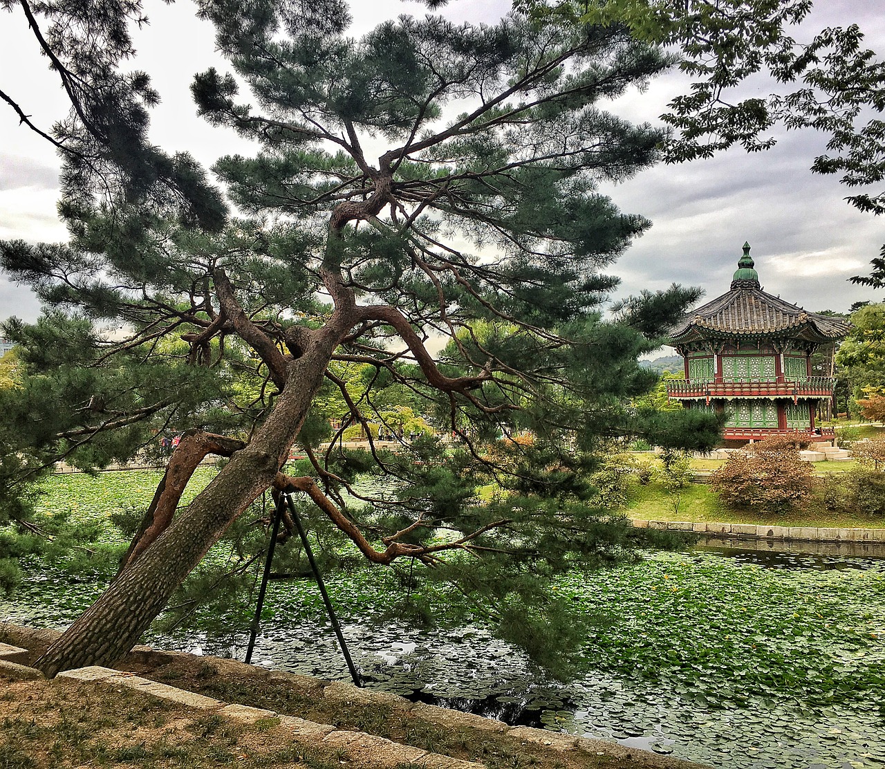 korea jingfu palace government free photo