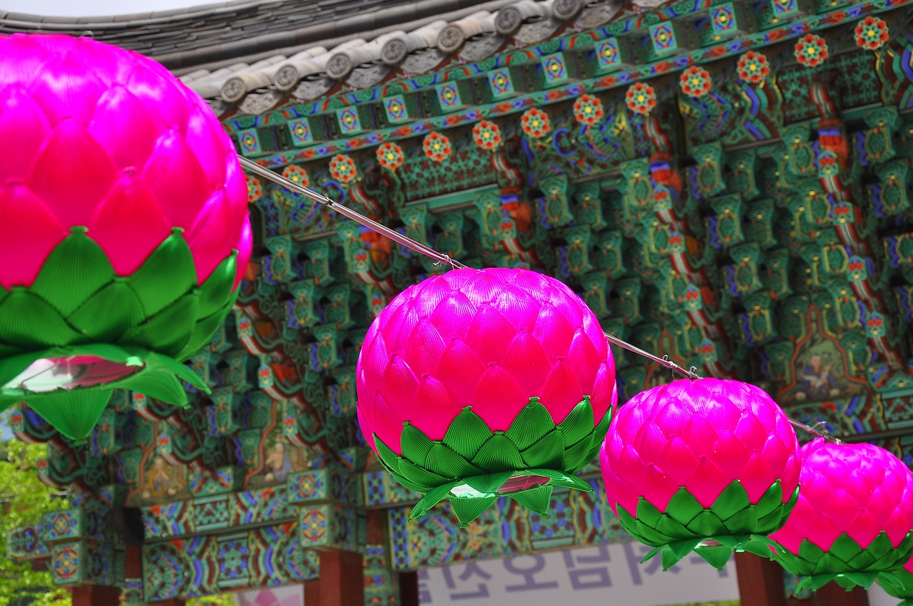 korea temple lotus free photo