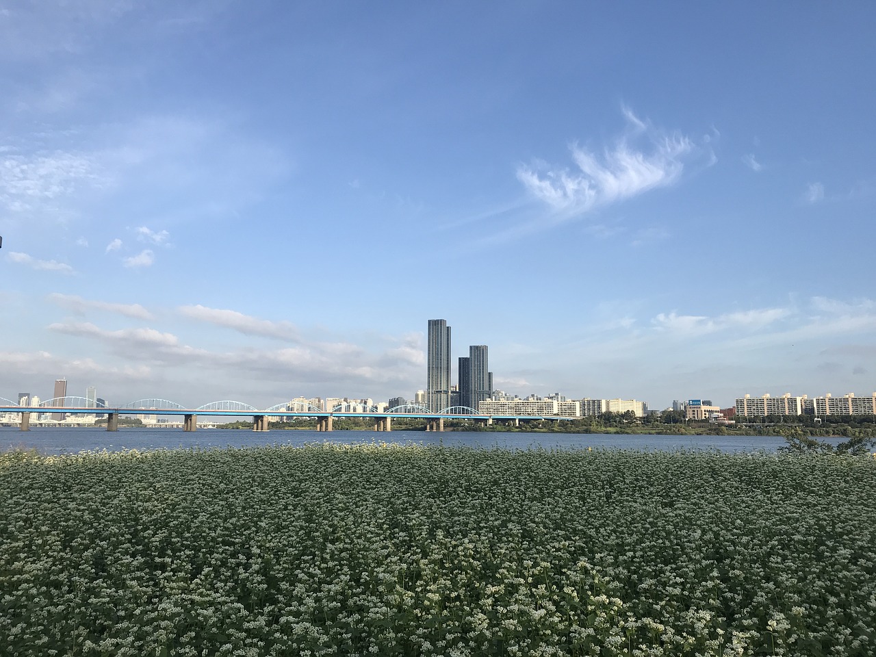 korea seoul han river free photo