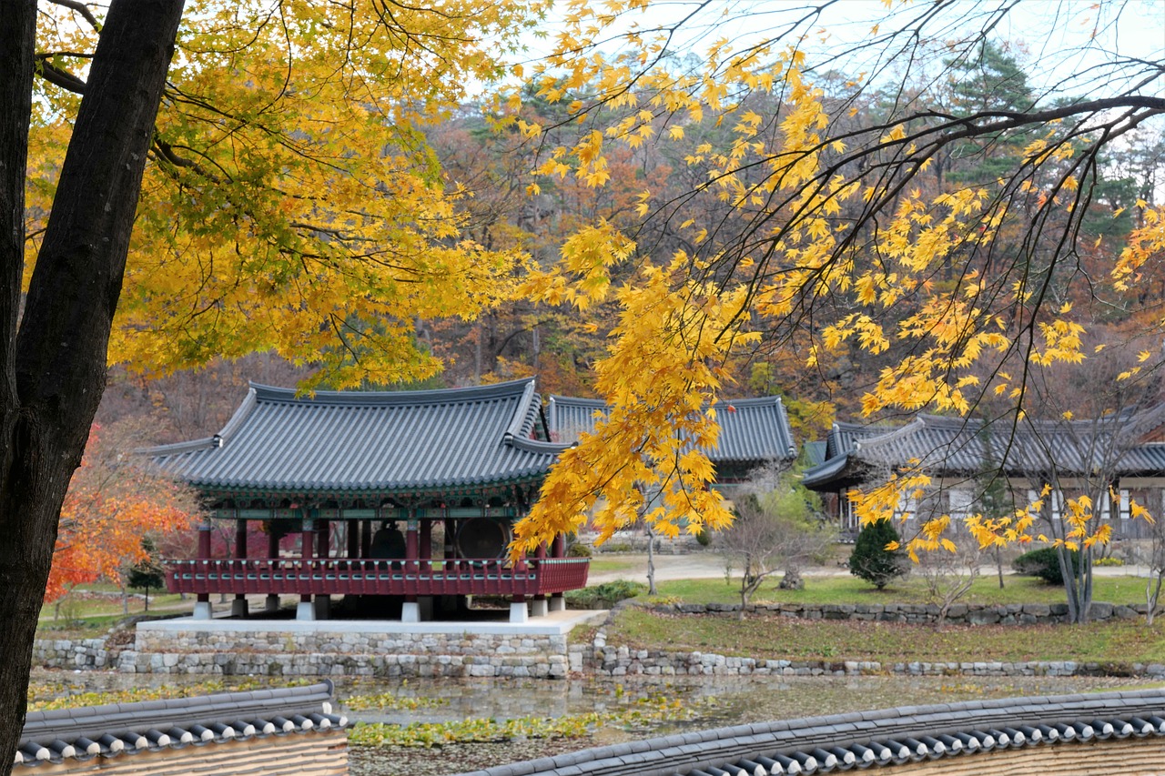 korea  temple  autumn free photo
