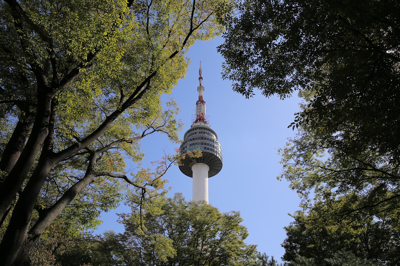 korea  tower  seoul free photo