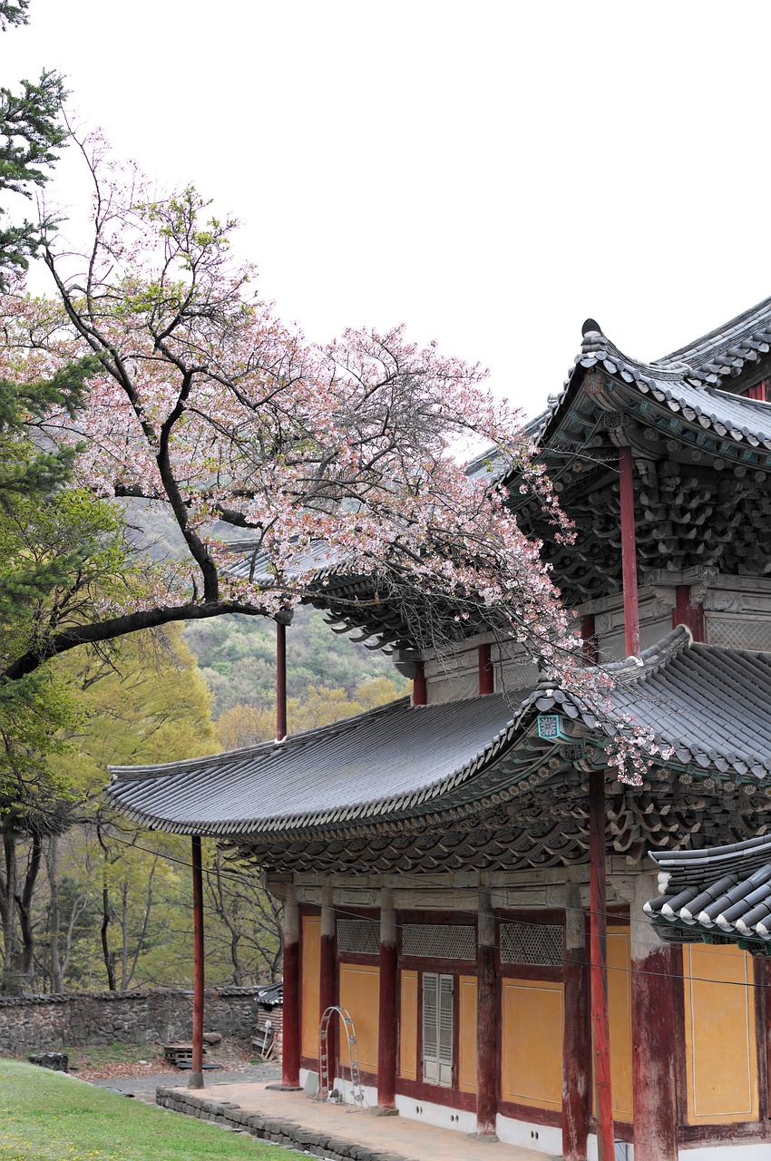 korea  temple  section free photo