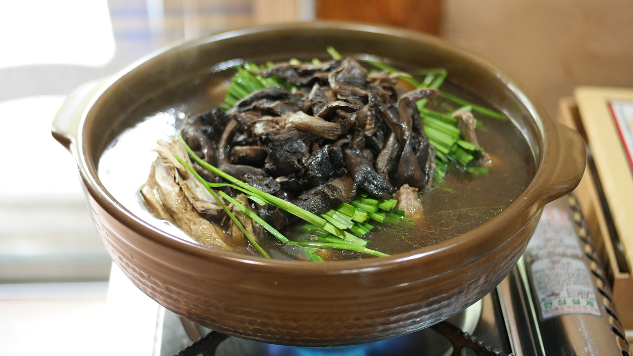 korean food sarcodon mushrooms sarcodon five hundred mature free photo