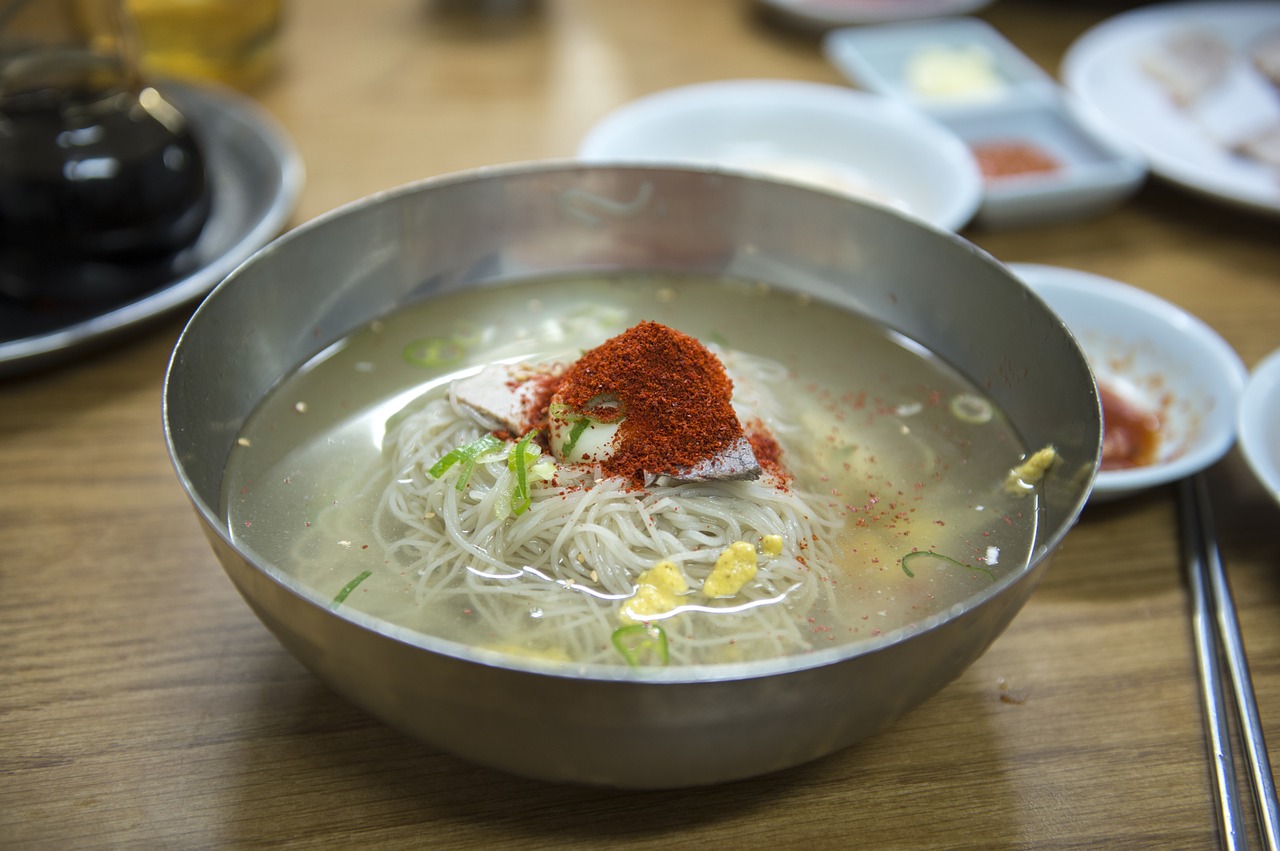 korean food pyongyang cold noodles cold noodles free photo