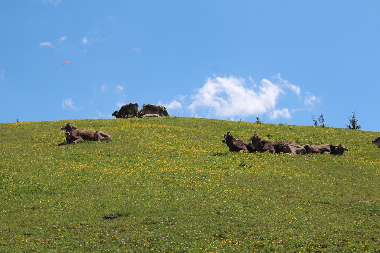 kössen tyrol austria free photo