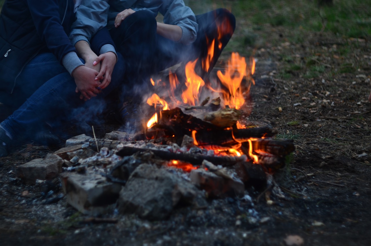 koster firewood stones free photo