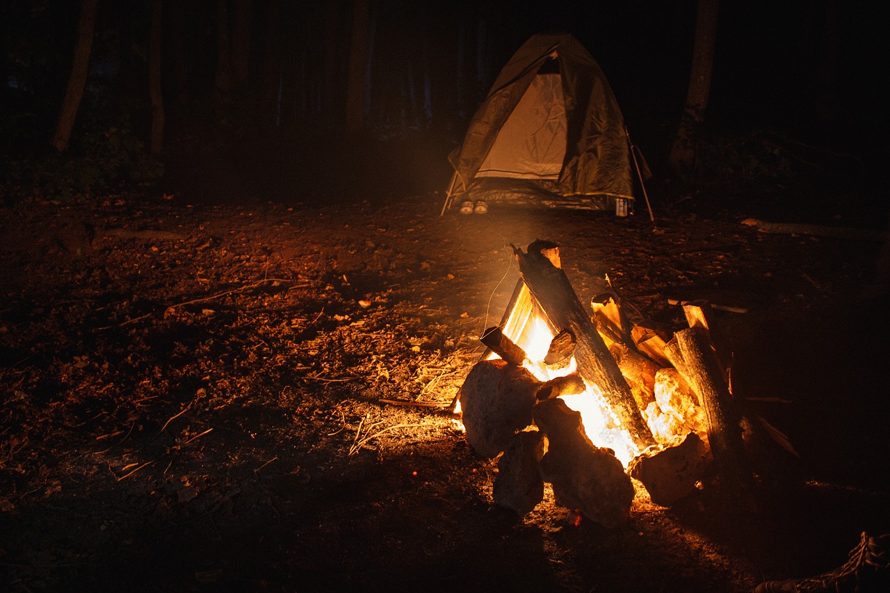 koster camping night free photo