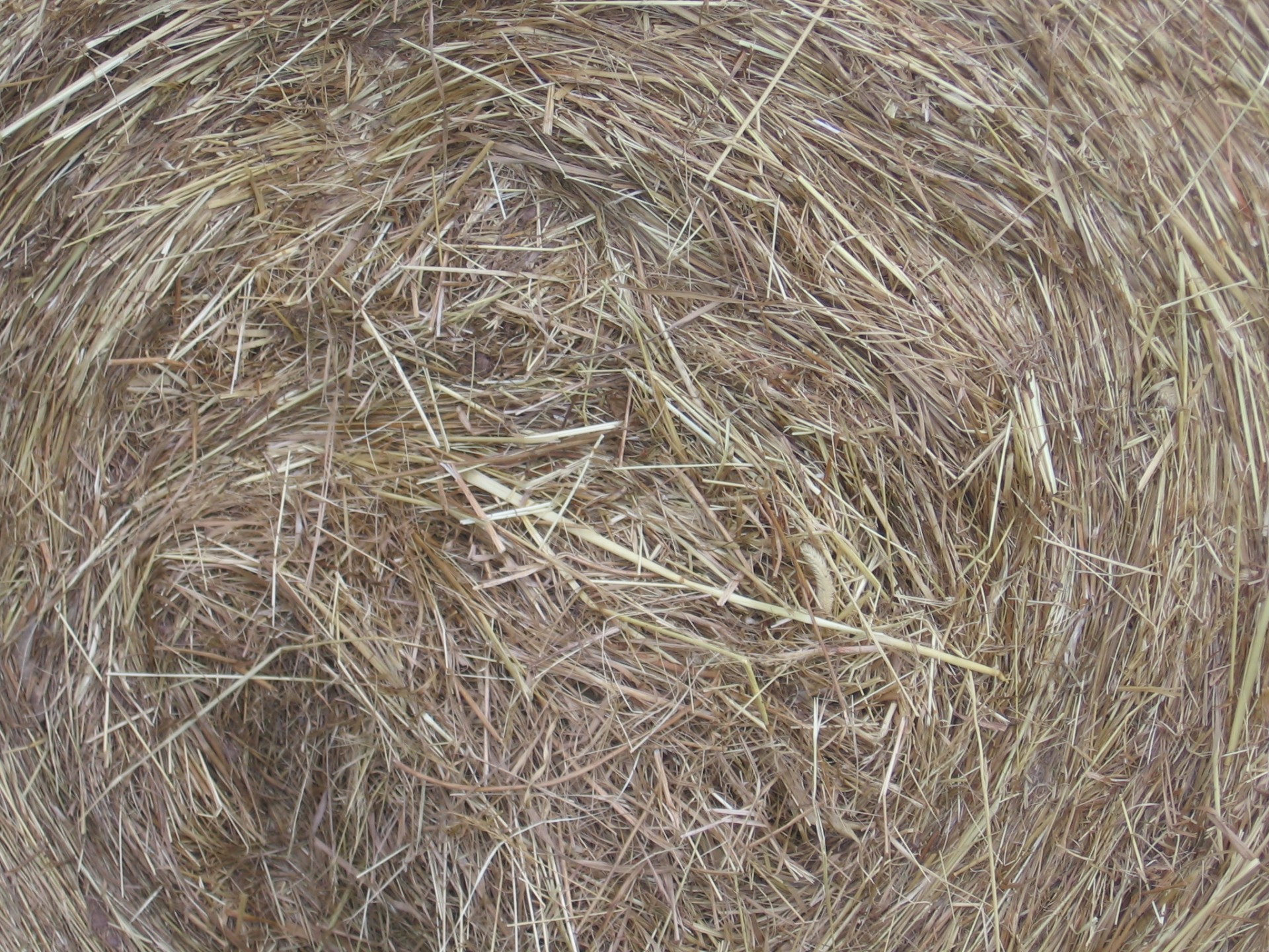 hay roll wheel hay free photo