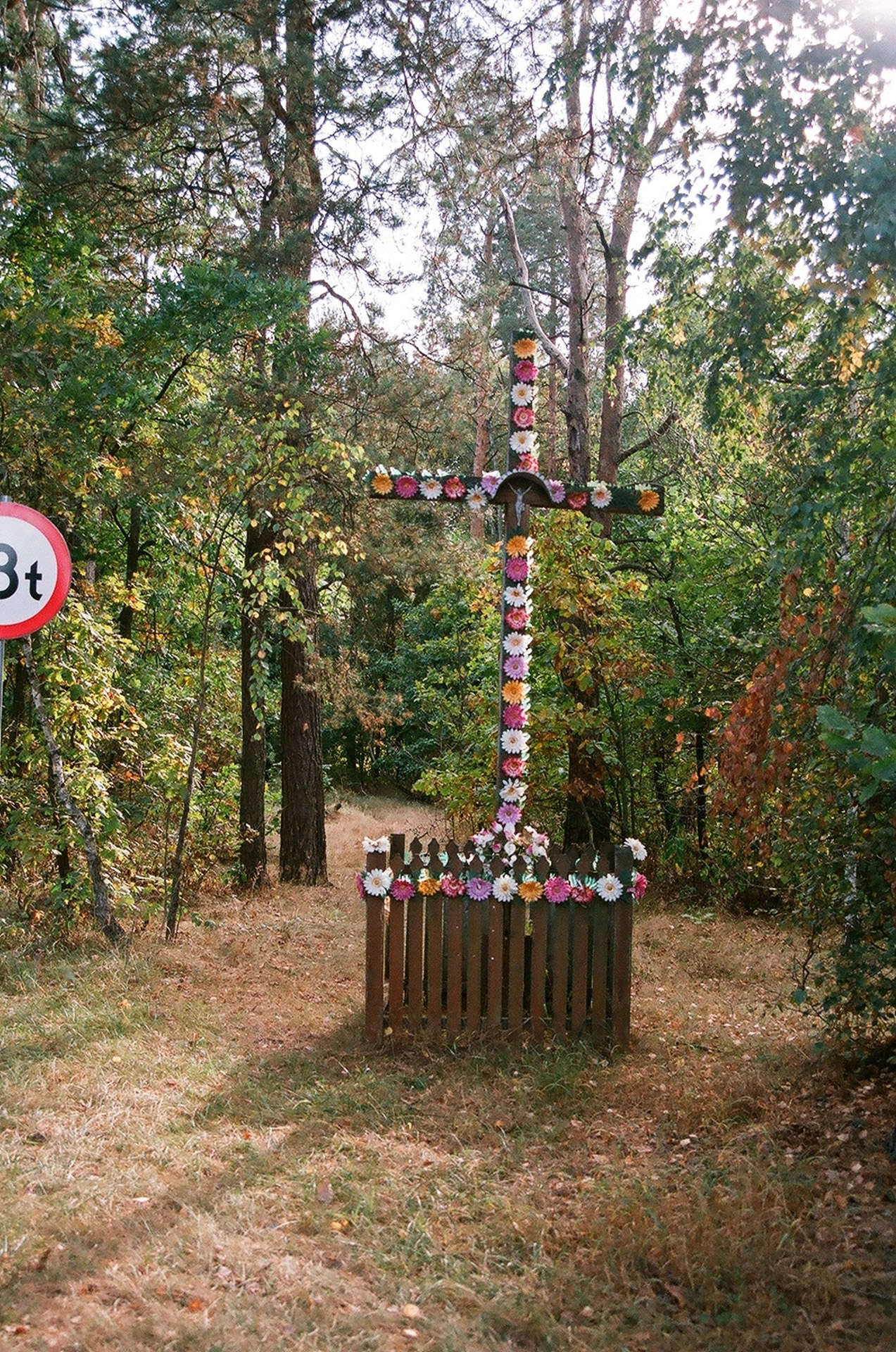 kozlowiecki landscape park free photo