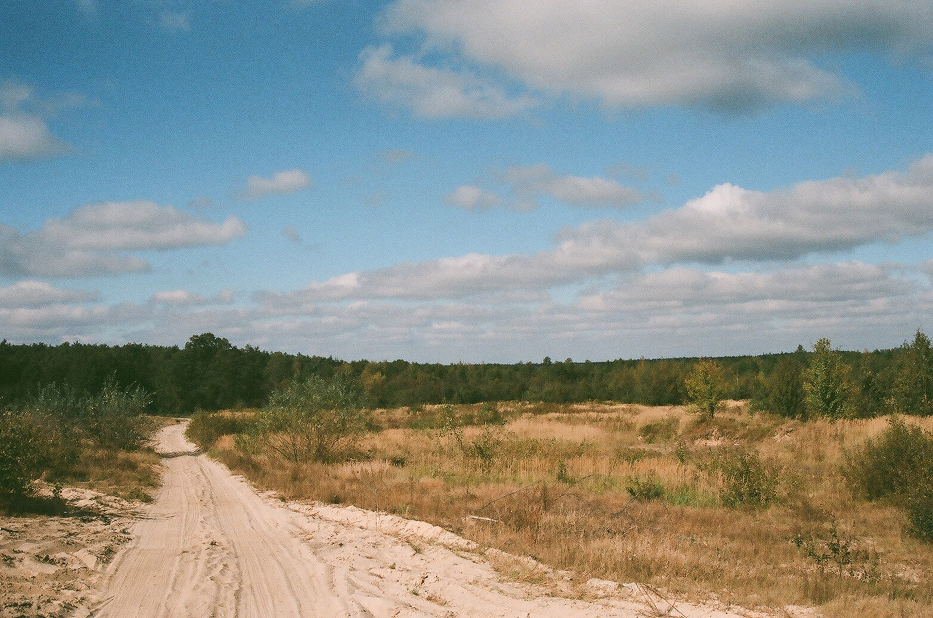 kozlowiecki landscape park free photo