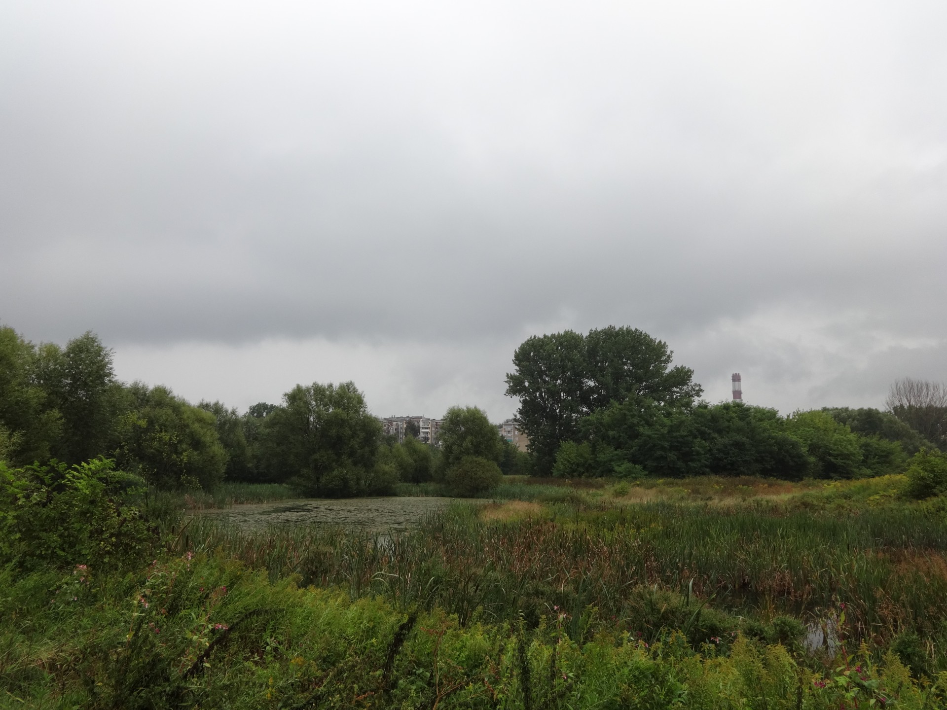 lublin pond landscape free photo