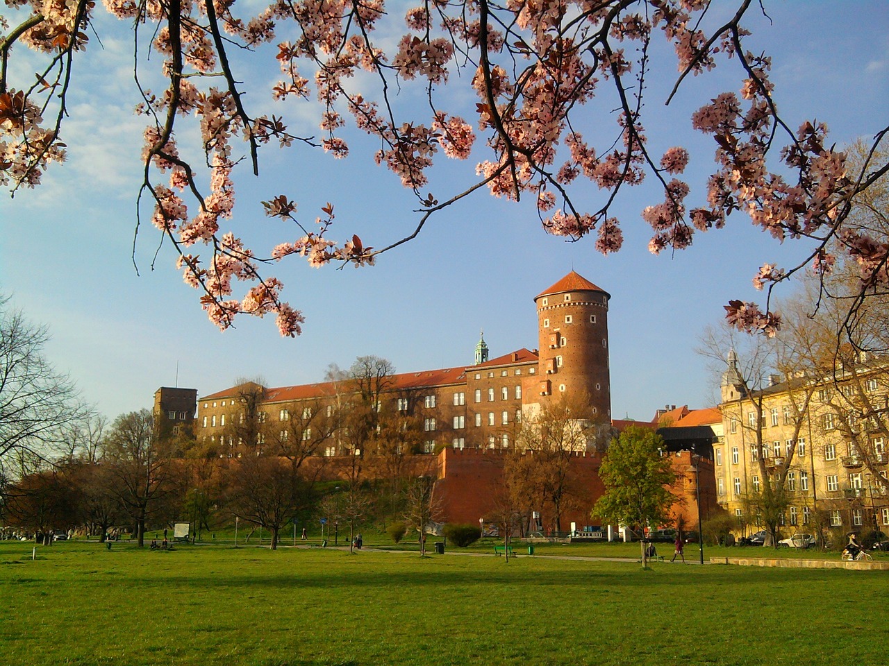 kraków poland wawel free photo